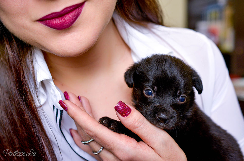 lumieres-1-6011ok post